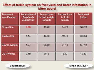 Effect of trellis system on fruit yield and borer infestation in
                          bitter gourd
Treatment       Population of    Percent loss     Percent loss      Fruit yield
specification     Diaphania     in fruit weight      in fruit         (q/ha)
                 indica/fruit       (g/fruit)       number


Single line          0.86           13.70            14.70            225.78


Double line          1.14           17.60            19.40            206.50


Bower system         1.37           25.50            31.10            197.12


CD (P=0.05)          0.10            2.10             2.10             12.40




       Bhubaneswar                                           Singh et al. 2007
 
