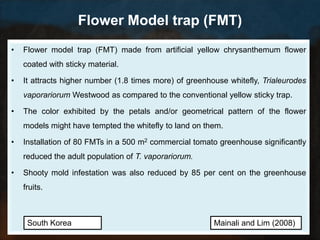 Flower Model trap (FMT)
•   Flower model trap (FMT) made from artificial yellow chrysanthemum flower
    coated with sticky material.

•   It attracts higher number (1.8 times more) of greenhouse whitefly, Trialeurodes
    vaporariorum Westwood as compared to the conventional yellow sticky trap.

•   The color exhibited by the petals and/or geometrical pattern of the flower
    models might have tempted the whitefly to land on them.

•   Installation of 80 FMTs in a 500 m2 commercial tomato greenhouse significantly
    reduced the adult population of T. vaporariorum.

•   Shooty mold infestation was also reduced by 85 per cent on the greenhouse
    fruits.



     South Korea                                         Mainali and Lim (2008)
 