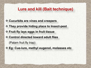 Lure and kill (Bait technique)

 Cucurbits are vines and creepers
 They provide hiding place to Insect-pest
 Fruit fly lays eggs in fruit tissue
 Control directed toward adult flies
  (Palam fruit fly trap)
 Eg: Cue-lure, methyl eugenol, molasses etc
 