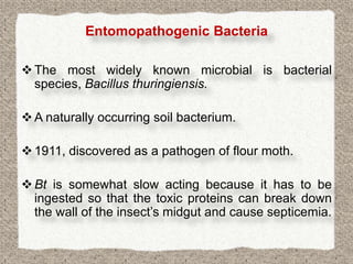 Entomopathogenic Bacteria

 The most widely known microbial is bacterial
  species, Bacillus thuringiensis.

 A naturally occurring soil bacterium.

 1911, discovered as a pathogen of flour moth.

 Bt is somewhat slow acting because it has to be
  ingested so that the toxic proteins can break down
  the wall of the insect’s midgut and cause septicemia.
 