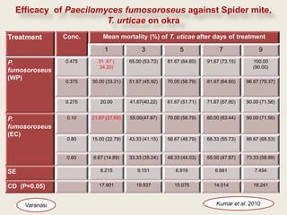 Efficacy of Paecilomyces fumosoroseus against Spider mite,
                       T. urticae on okra
Treatment       Conc.       Mean mortality (%) of T. uticae after days of treatment

                             1               3               5               7               9

P.              0.475     31 .67 (      65.00 (53.73)   81.67 (64.60)   91.67 (73.15)      100.00
                          34.20)                                                           (90.00)
fumosoroseus
(WP)
                0.375   30.00 (33.21)   51.67 (45.92)   70.00 (56.79)   81.67 (64.60)   96.67 (79.37)



                0.275      20.00        41.67(40.22)    61.67 (51.71)   71.67 (57.80)   90.00 (71.56)


P.               0.10   21.67 (27.69)   55.00(47.87)    70.00 (56.79)   80.00 (63.44)   90.00 (71.56)
fumosoroseus
(EC)
                 0.80   15.00 (22.79)   43.33 (41.15)   56.67 (48.79)   68.33 (55.73)   86.67 (68.53)


                 0.60   6.67 (14.89)    33.33 (35.24)   48.33 (44.03)   55.00 (47.87)   73.33 (58.89)


SE                         8.215           9.151           6.919           6.661           7.454


CD (P=0.05)                17.901          19.937          15.075          14.514          16.241



     Varanasi                                                               Kumar et al. 2010
 