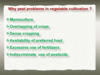 Why pest problems in vegetable cultivation ?

Monoculture
Overlapping of crops
Dense cropping
Availability of preferred host
Excessive use of fertilizers
Indiscriminate use of pesticide
 