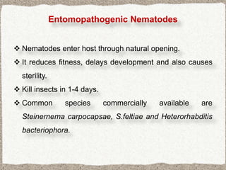 Entomopathogenic Nematodes


 Nematodes enter host through natural opening.
 It reduces fitness, delays development and also causes
  sterility.
 Kill insects in 1-4 days.
 Common          species     commercially   available   are
  Steinernema carpocapsae, S.feltiae and Heterorhabditis
  bacteriophora.
 