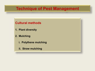 Technique of Pest Management


Cultural methods

1. Plant diversity

2. Mulching

  i. Polythene mulching

  ii. Straw mulching
 