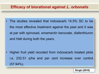 Efficacy of biorational against L. orbonalis


• The studies revealed that indoxacarb 14.5% SC to be
  the most effective treatment against the pest and it was
  at par with spinosad, emamectin benzoate, diafenthiuron
  and Halt during both the years.



• Higher fruit yield recoded from indoxacarb treated plots
  i.e. 232.51 q/ha and per cent increase over control
  (57.94%).
                                              Singh (2010)
 