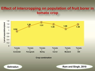 Effect of intercropping on population of fruit borer in
                     tomato crop

                           1.6
 Larval population/plant




                           1.4               1.26            1.51                    1.09
                           1.2                                          1.39                    1.38
                                 0.94
                            1
                           0.8
                           0.6
                           0.4
                           0.2
                            0
                                  Tomato      Tomato        Tomato          Tomato    Tomato    Tomato
                                     +          +             +               +         +         +
                                 Coriander   Fenugreek      Barley          Carrot    Mustard     Dill


                                                         Crop combination




                           Dehradun                                                  Ram and Singh, 2010
 