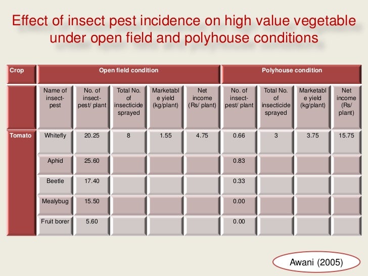 Insect pest management in vegetable crops