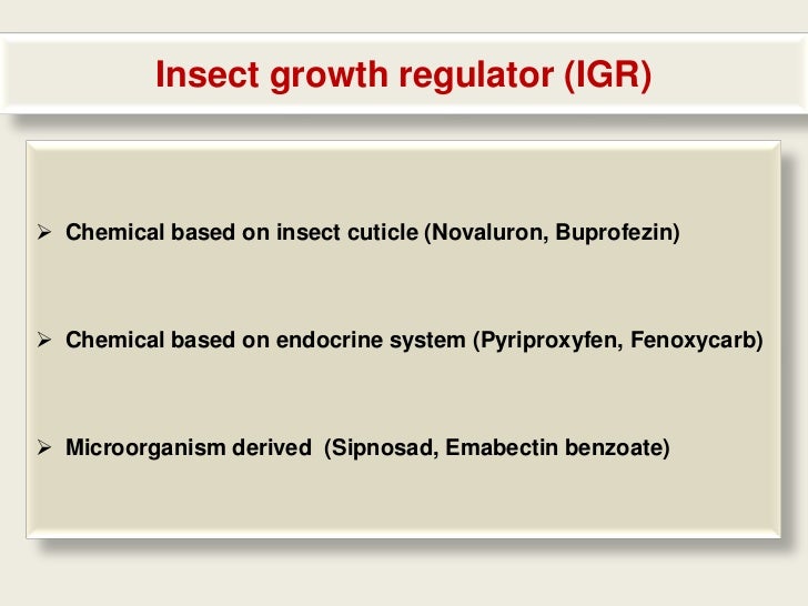 Insect pest management in vegetable crops