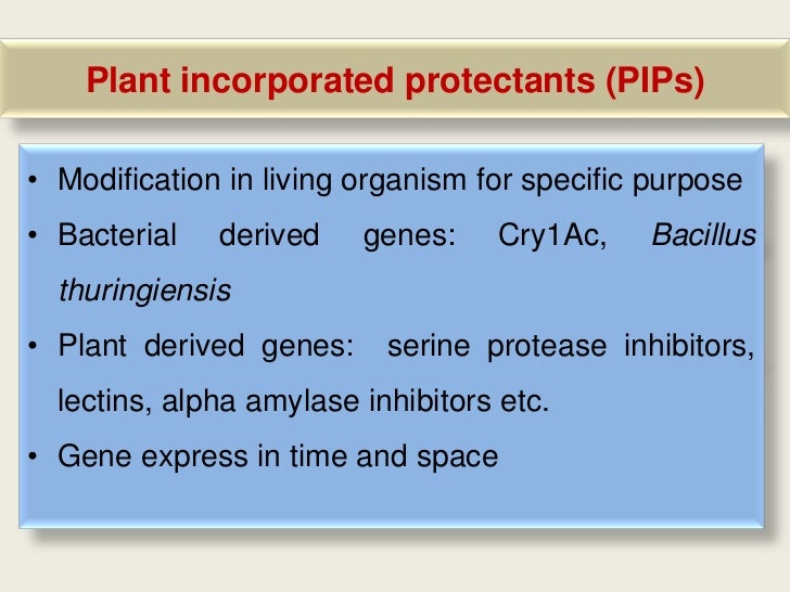 Insect pest management in vegetable crops