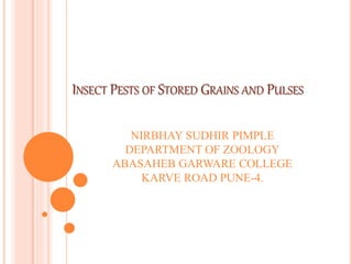 INSECT PESTS OF STORED GRAINS AND PULSES
NIRBHAY SUDHIR PIMPLE
DEPARTMENT OF ZOOLOGY
ABASAHEB GARWARE COLLEGE
KARVE ROAD PUNE-4.
 