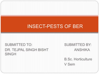 SUBMITTED TO: SUBMITTED BY:
DR. TEJPAL SINGH BISHT ANSHIKA
SINGH
B.Sc. Horticulture
V Sem
INSECT-PESTS OF BER
 