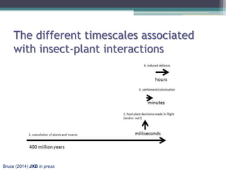 Insect plant interactions | PPTX