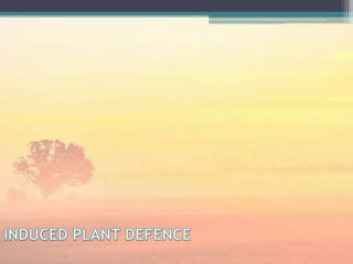 Insect plant interactions | PPTX