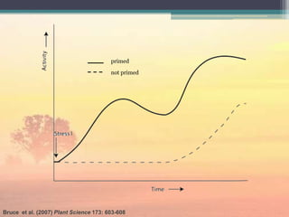 Insect plant interactions | PPTX