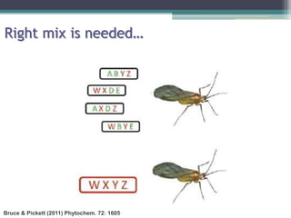 Insect plant interactions | PPTX