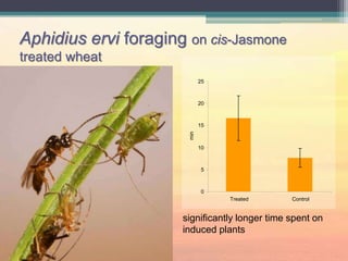 Insect plant interactions | PPTX