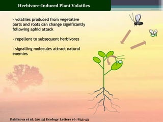 Insect plant interactions | PPTX