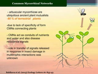 Insect plant interactions | PPTX