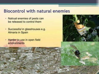 Insect plant interactions | PPTX