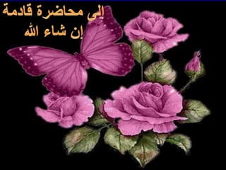 Insecta  4 - Mouth Parts