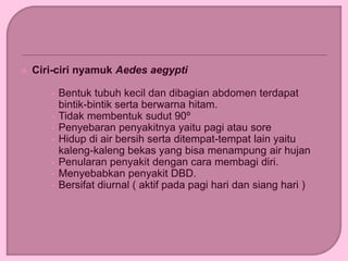  Ciri-ciri nyamuk Aedes aegypti
• Bentuk tubuh kecil dan dibagian abdomen terdapat
bintik-bintik serta berwarna hitam.
• Tidak membentuk sudut 90º
• Penyebaran penyakitnya yaitu pagi atau sore
• Hidup di air bersih serta ditempat-tempat lain yaitu
kaleng-kaleng bekas yang bisa menampung air hujan
• Penularan penyakit dengan cara membagi diri.
• Menyebabkan penyakit DBD.
• Bersifat diurnal ( aktif pada pagi hari dan siang hari )
 