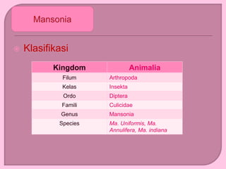  Klasifikasi
Kingdom Animalia
Filum Arthropoda
Kelas Insekta
Ordo Diptera
Famili Culicidae
Genus Mansonia
Species Ma. Uniformis, Ma.
Annulifera, Ma. indiana
 