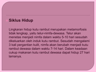  Siklus Hidup
Lingkaran hidup kutu rambut merupakan metamorfosis
tidak lengkap, yaitu telur-nimfa-dewasa. Telur akan
menetas menjadi nimfa dalam waktu 5-10 hari sesudah
dikeluarkan oleh induk kutu rambut. Sesudah mengalami
3 kali pergantian kulit, nimfa akan berubah menjadi kutu
rambut dewasa dalam waktu 7-14 hari. Dalam keadaan
cukup makanan kutu rambut dewasa dapat hidup 27 hari
lamanya.
 