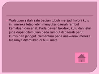  Walaupun salah satu bagian tubuh menjadi koloni kutu
ini, mereka tetap lebih menyukai daerah rambut
kemaluan dan anal. Pada pasien laki-laki, kutu dan telur
juga dapat ditemukan pada rambut di daerah perut,
kumis dan janggut. Sementara pada anak-anak mereka
biasanya ditemukan di bulu mata.
 