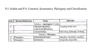 Insect Systematics insectaclassification and orders of important insects | PPTX