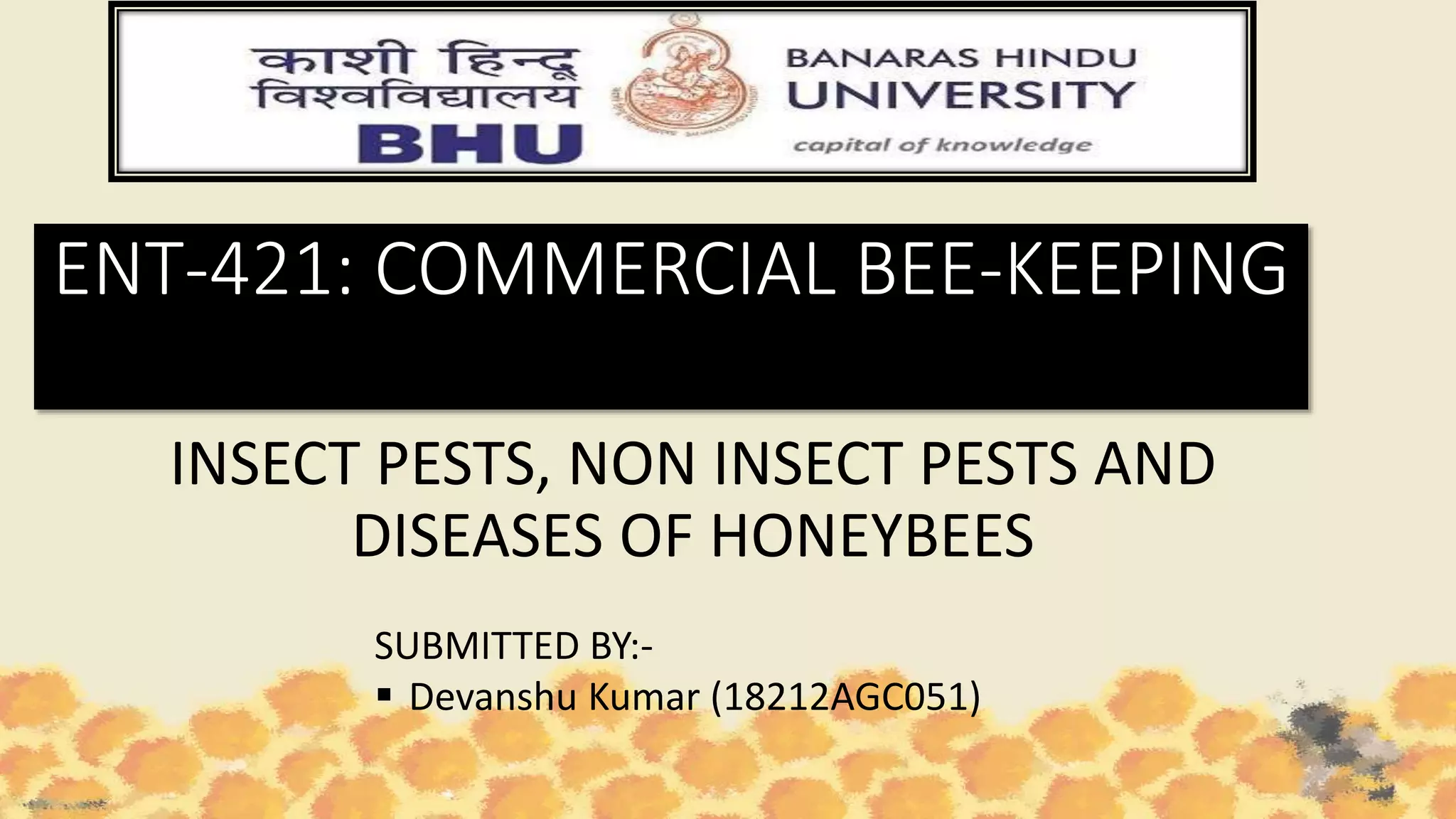 insect and non insect pest and disease of honeybees.pptx
