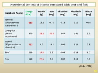 Insect as food | PPTX