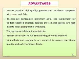 Insect as food | PPTX