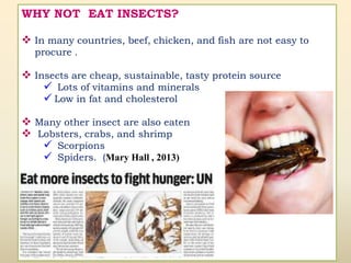 Insect as food | PPTX