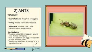 insect as food entoooo entomology Bsc (Hons) Agriculture | PPTX