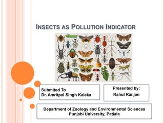 INSECTS AS POLLUTION INDICATOR
Submited To
Dr. Amritpal Singh Kaleka
Presented by:
Rahul Ranjan
Department of Zoology and Environmental Sciences
Punjabi University, Patiala
 