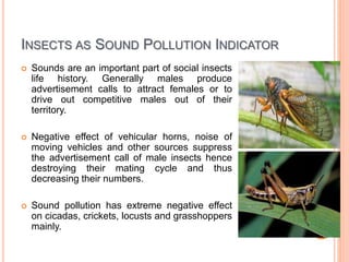 INSECTS AS SOUND POLLUTION INDICATOR
 Sounds are an important part of social insects
life history. Generally males produce
advertisement calls to attract females or to
drive out competitive males out of their
territory.
 Negative effect of vehicular horns, noise of
moving vehicles and other sources suppress
the advertisement call of male insects hence
destroying their mating cycle and thus
decreasing their numbers.
 Sound pollution has extreme negative effect
on cicadas, crickets, locusts and grasshoppers
mainly.
 