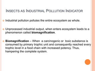 INSECTS AS INDUSTRIAL POLLUTION INDICATOR
 Industrial pollution pollutes the entire ecosystem as whole.
 Unprocessed industrial output, when enters ecosystem leads to a
phenomenon called biomagnification.
 Biomagnification – When a carcinogenic or toxic substance is
consumed by primary trophic unit and consequently reached every
trophic level in a food chain with increased potency. Thus,
hampering the complete system.
 