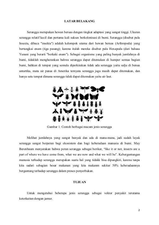 Serangga Sebagai Vektor Penyakit Tanaman