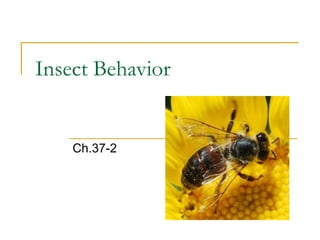 Insect Behavior
Ch.37-2
 