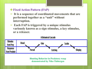 Insect behavior | PDF