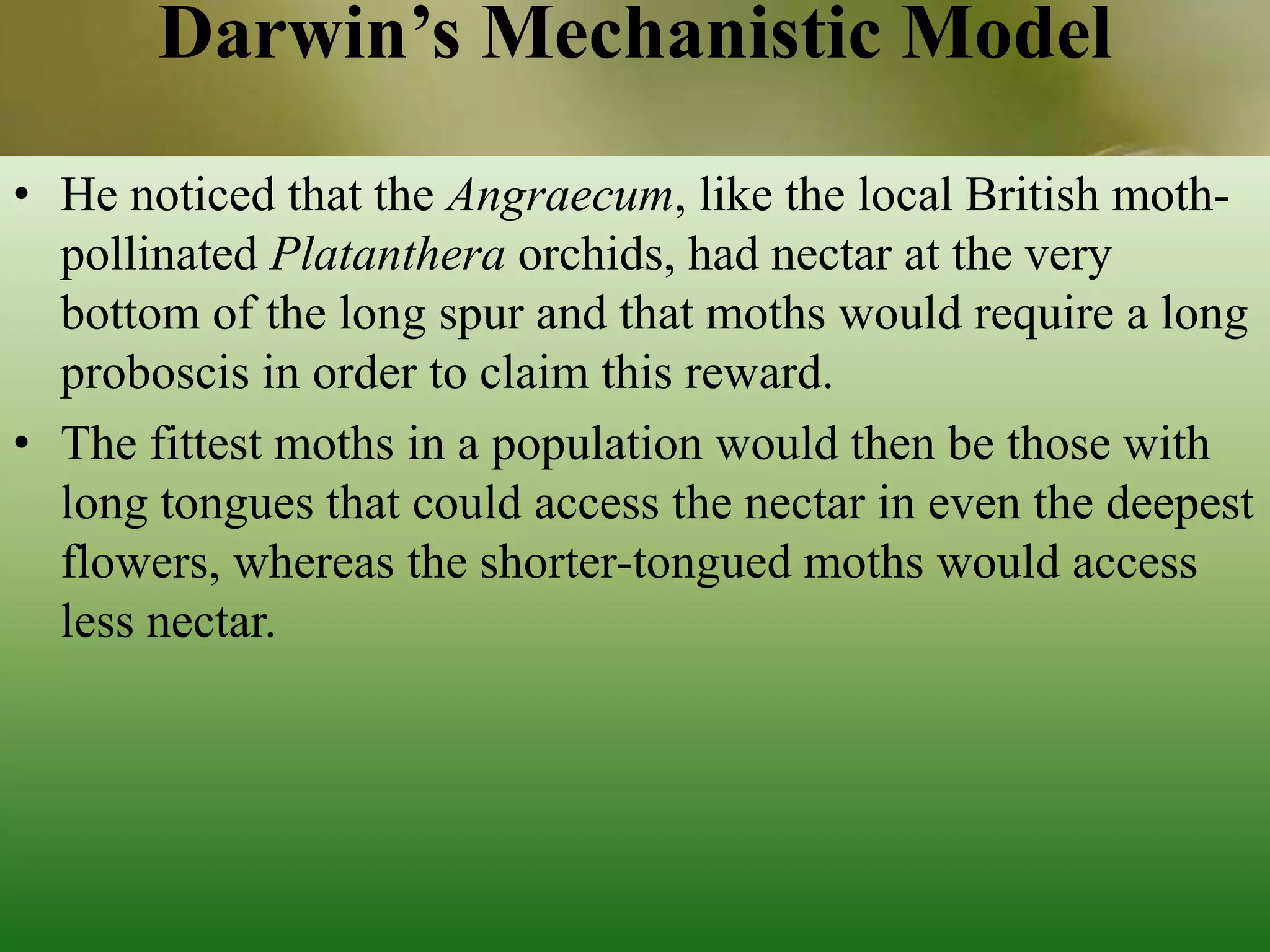 COEVOLUTION OF PLANT AND INSECT POLLINATORS | PPTX