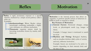 Insect Behaviour : Patterns And Determinants | PDF