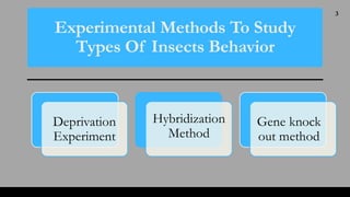 Insect Behaviour : Patterns And Determinants | PDF