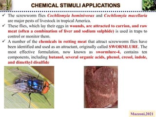 CHEMICAL STIMULI APPLICATIONS
 The screwworm flies Cochliomyia hominivorax and Cochliomyia macellaria
are major pests of livestock in tropical America.
 These flies, which lay their eggs in wounds, are attracted to carrion, and raw
meat (often a combination of liver and sodium sulphide) is used in traps to
control or monitor them.
 A number of the chemicals in rotting meat that attract screwworm flies have
been identified and used as an attractant, originally called SWORMLURE. The
most effective formulation, now known as swormlure-4, contains ten
components, including butanol, several organic acids, phenol, cresol, indole,
and dimethyl disulfide
Mazzoni,2021
 