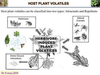 HOST PLANT VOLATILES
Host plant volatiles can be classified into two types: Attractants and Repellents
De França,2020
 