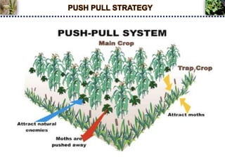 PUSH PULL STRATEGY
 