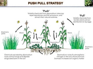 PUSH PULL STRATEGY
 