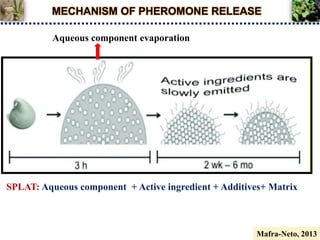 MECHANISM OF PHEROMONE RELEASE
SPLAT: Aqueous component + Active ingredient + Additives+ Matrix
Aqueous component evaporation
Mafra-Neto, 2013
 