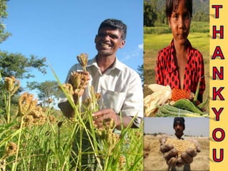 Insect Behaviour in IPM_S.Srinivasnaik_RAD21-25.ppt