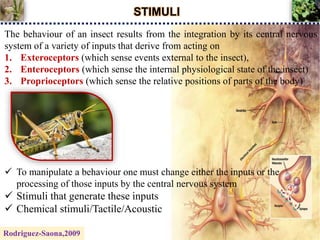 STIMULI
The behaviour of an insect results from the integration by its central nervous
system of a variety of inputs that derive from acting on
1. Exteroceptors (which sense events external to the insect),
2. Enteroceptors (which sense the internal physiological state of the insect)
3. Proprioceptors (which sense the relative positions of parts of the body)
 To manipulate a behaviour one must change either the inputs or the
processing of those inputs by the central nervous system
 Stimuli that generate these inputs
 Chemical stimuli/Tactile/Acoustic
Rodriguez-Saona,2009
 